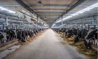 办公室不长胖零食选它，餐饮管理新思路