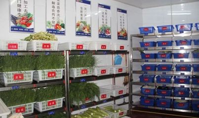 中成伟业-庆乐餐饮“零”底薪团队打造路演班 餐饮服务的新变革